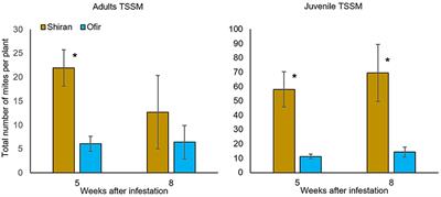 Tomato Cultivars Resistant or Susceptible to Spider Mites Differ in Their Biosynthesis and Metabolic Profile of the Monoterpenoid Pathway